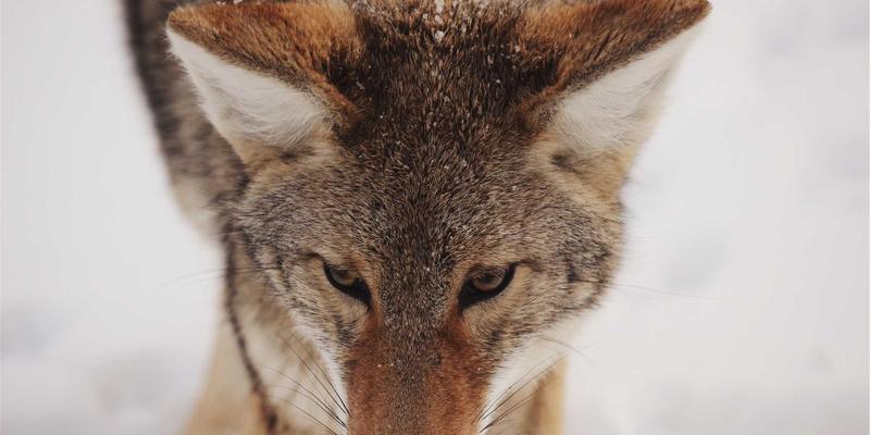 别让“生命腺”报警！前列腺健康早期信号与科学调理全攻略