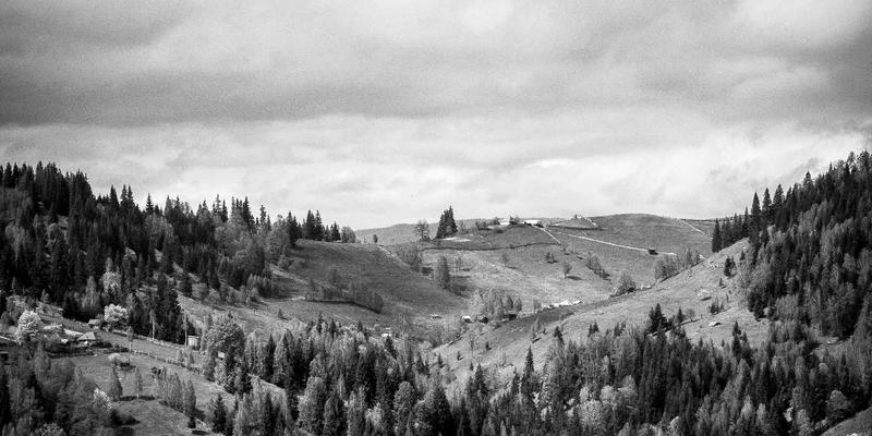 “吃”掉心血管风险！中老年饮食黄金法则，搭配科学运动效果翻倍