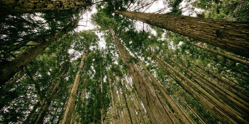 告别失眠困扰：康龙派健身养生指南，从入睡困难到深度睡眠的完整方案