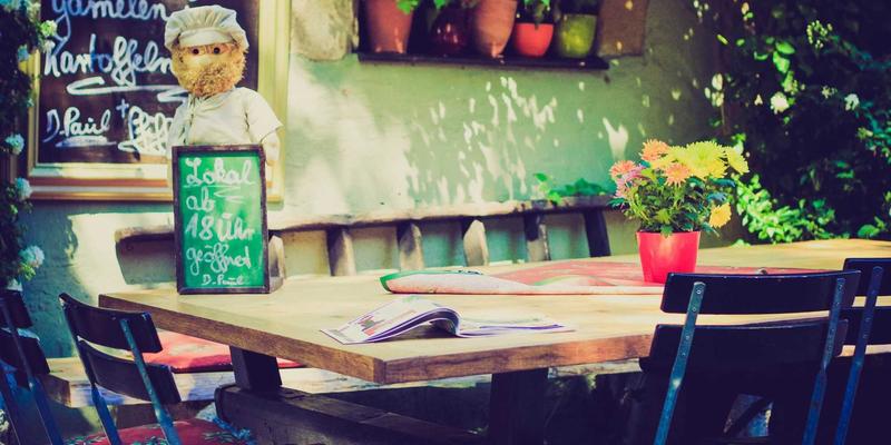 激活身体天然净化系统:科学揭示十字花科蔬菜与关键营养素如何启动肝脏排毒通路