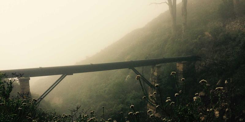 解锁健康密码：中医体质辨识教你定制专属养生方案